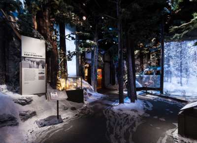 Battle of the Bulge Gallery, Road to Berlin